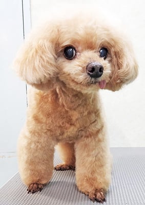 佐藤クルミちゃん