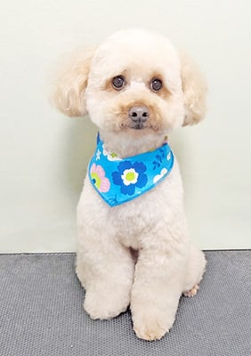 藤久保くうたちゃん