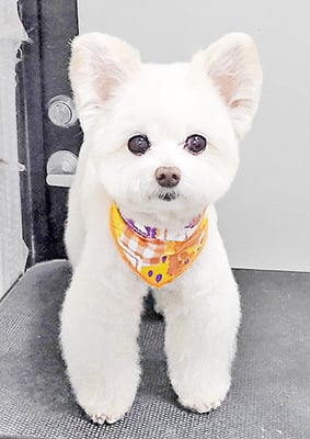 中村ココちゃん