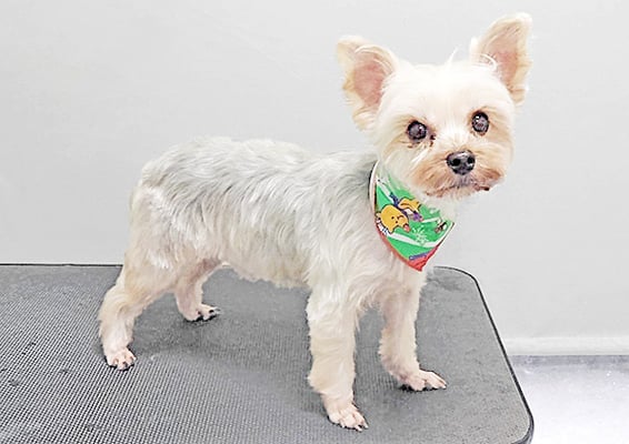 源川源之介ちゃん