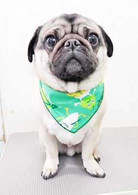 田邊ギンちゃん