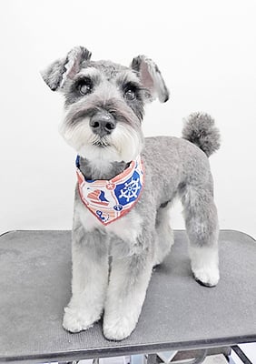 糸山そらちゃん