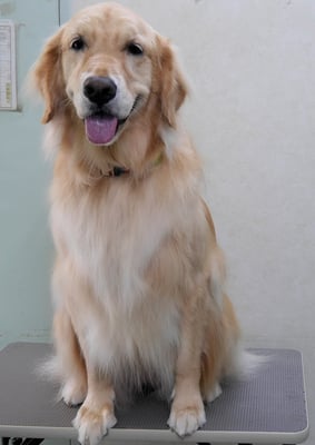 美代ジューンちゃん