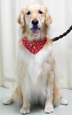 美代ジューンちゃん