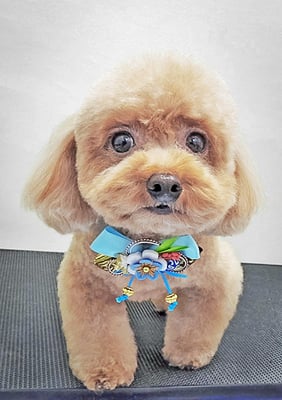 木浦モカちゃん