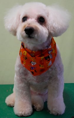 緒方ソレイユちゃん