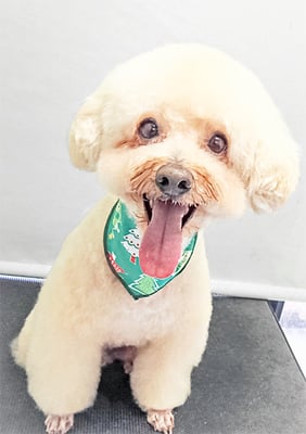 松田めろんちゃん