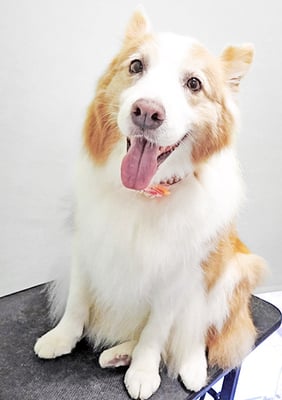 森本アンズちゃん