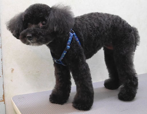 中井ヒナちゃん