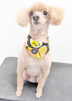 瀬戸口ルイちゃん