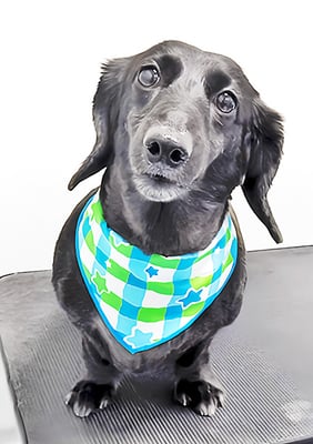 東メロンちゃん