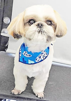 久永ナルちゃん