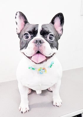 原口ケロジャムちゃん