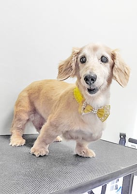 中山ジンちゃん