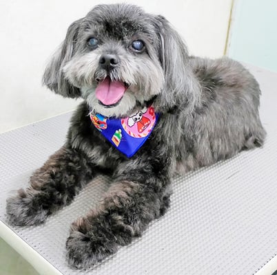 八郷ベンちゃん