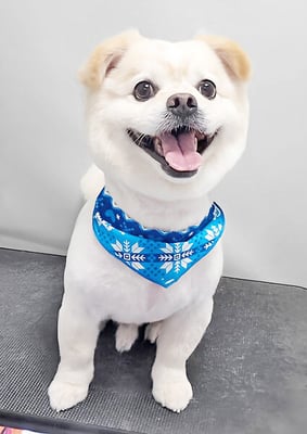 中園モカちゃん