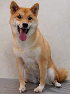 森崎アズキちゃん