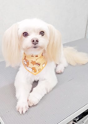 大脇ココアちゃん