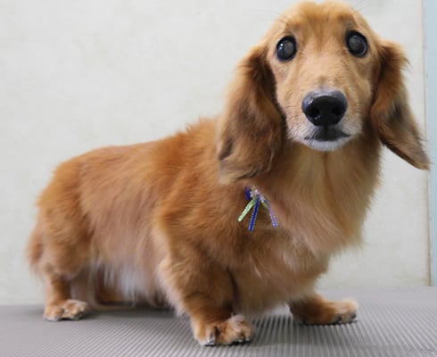 﨑戸ジュリアちゃん