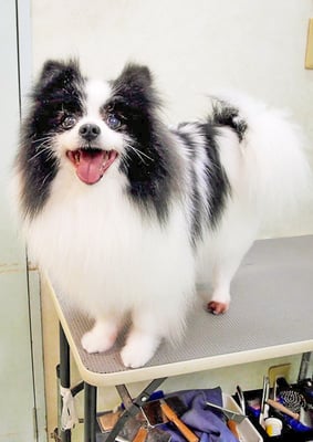 森崎マリアンちゃん