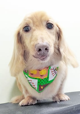 前薗パルちゃん