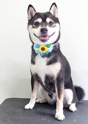 岩﨑レイちゃん