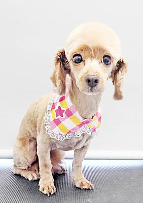 中村てぃーちゃん