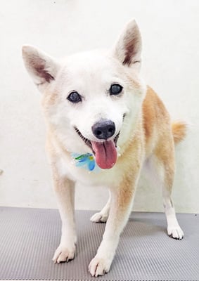 有馬コタロウちゃん