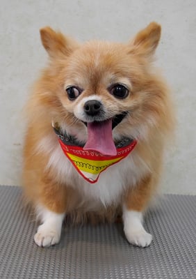 川田オカンちゃん