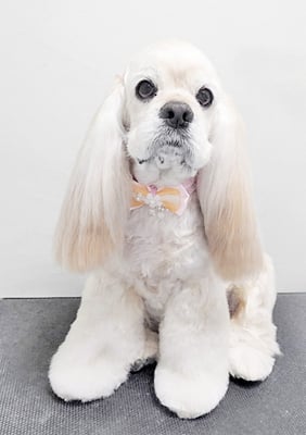 福富ベリーちゃん