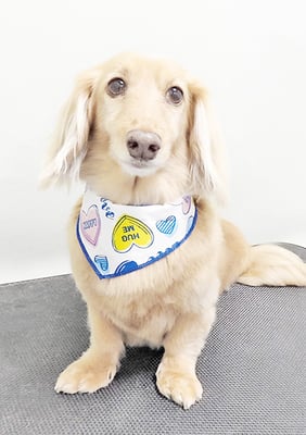 片山マルルちゃん