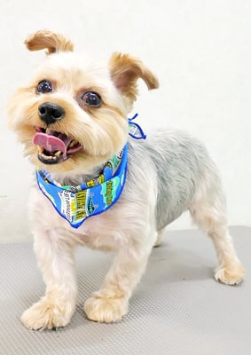 山下レオちゃん