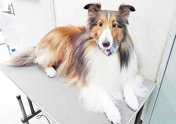 國生レイラちゃん