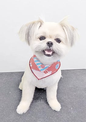 太崎ちゅらちゃん