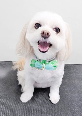 大脇ココアちゃん