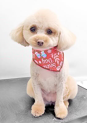 岩元ナノちゃん