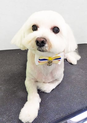 山口フウタちゃん