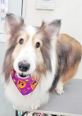 前野レオンちゃん