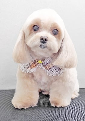 永濱サラちゃん