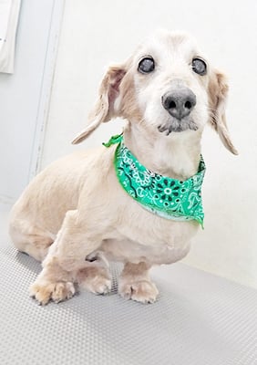 中山ジンちゃん