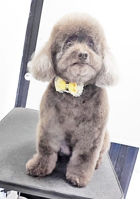 山口クレアちゃん