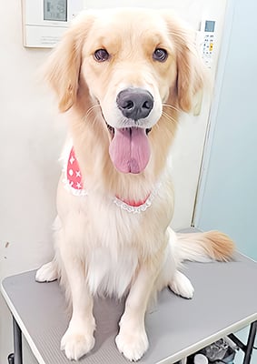 片川サラちゃん