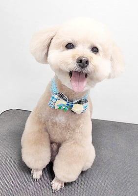 肥田くうちゃん