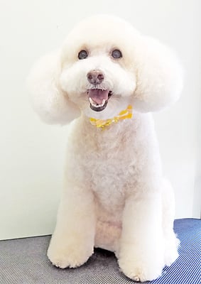 榎田プティちゃん