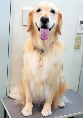 美代ジューンちゃん