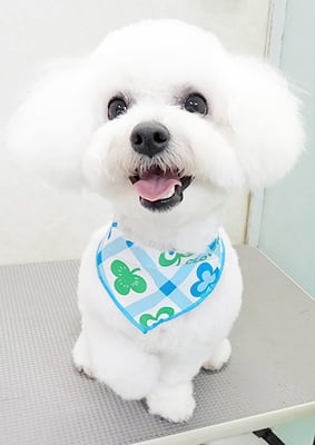 宮坂ユンちゃん