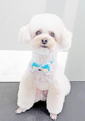 山村レオンちゃん