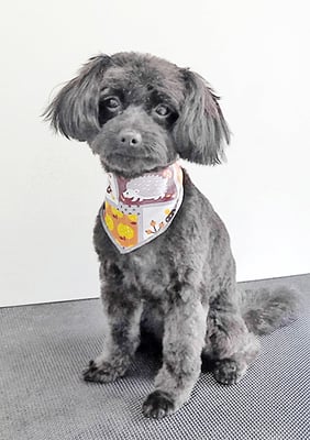 木原シェルちゃん