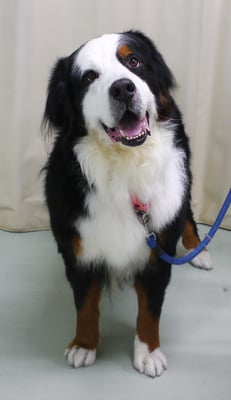 重野エドちゃん