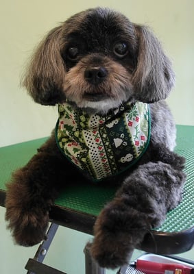 八郷ベンちゃん